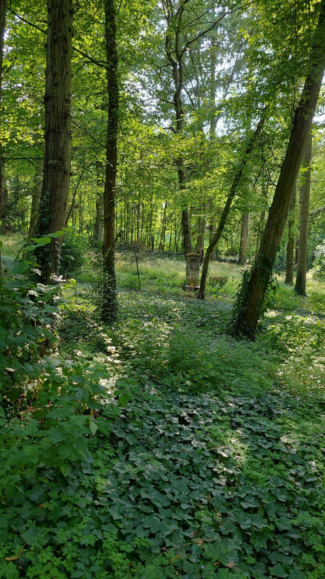 Le Manoir Paradi Presles-et-Thierny Bagian luar foto