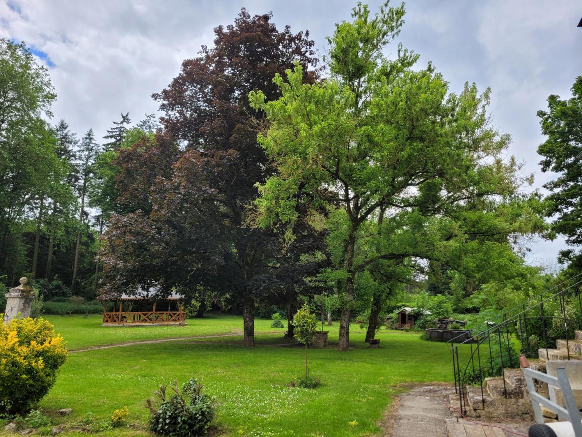 Le Manoir Paradi Presles-et-Thierny Bagian luar foto
